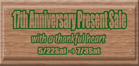 17th Anniversary Present Sale